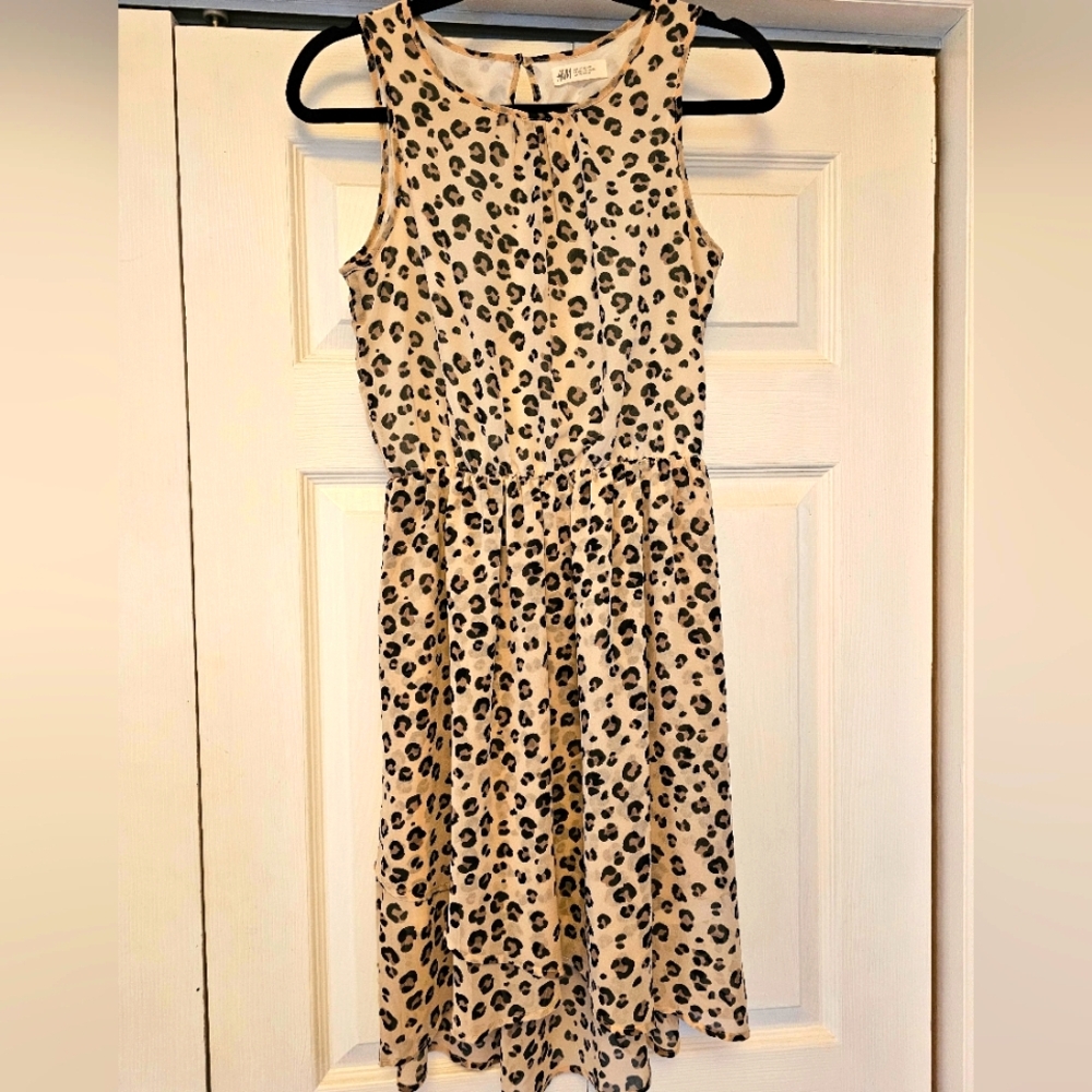 H&M Leopard Print Dress
